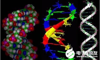 PVDF壓電傳感器將心音振動信號轉換為微弱電信號