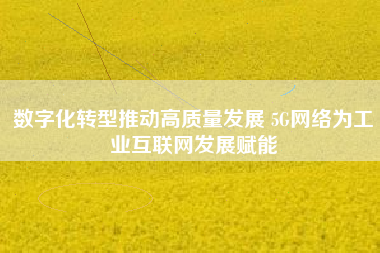 數字化轉型推動高質量發展 5G網絡為工業互聯網發展賦能