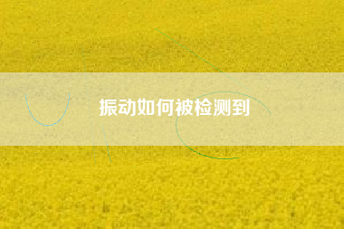 振動如何被檢測到