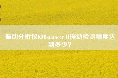 振動分析儀KMbalancer II振動檢測精度達到多少? 振動分析儀KMbalancer II振動檢測精度達到多少?