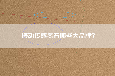振動傳感器有哪些大品牌？