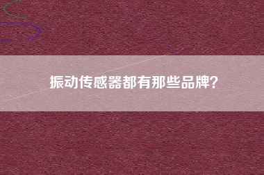 振動傳感器都有那些品牌？