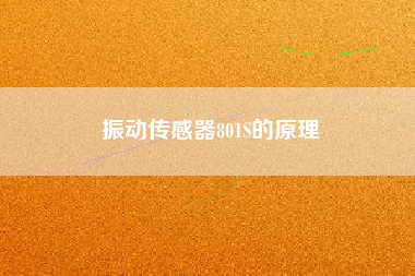 振動傳感器801S的原理 振動傳感器801S的原理