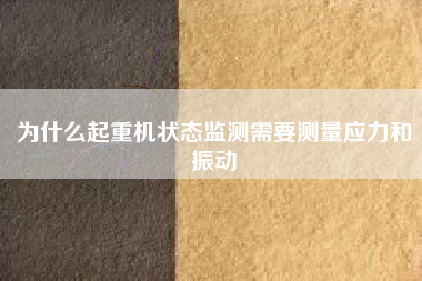 為什么起重機(jī)狀態(tài)監(jiān)測需要測量應(yīng)力和振動 為什么起重機(jī)狀態(tài)監(jiān)測需要測量應(yīng)力和振動